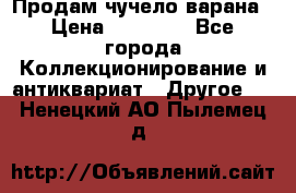 Продам чучело варана › Цена ­ 15 000 - Все города Коллекционирование и антиквариат » Другое   . Ненецкий АО,Пылемец д.